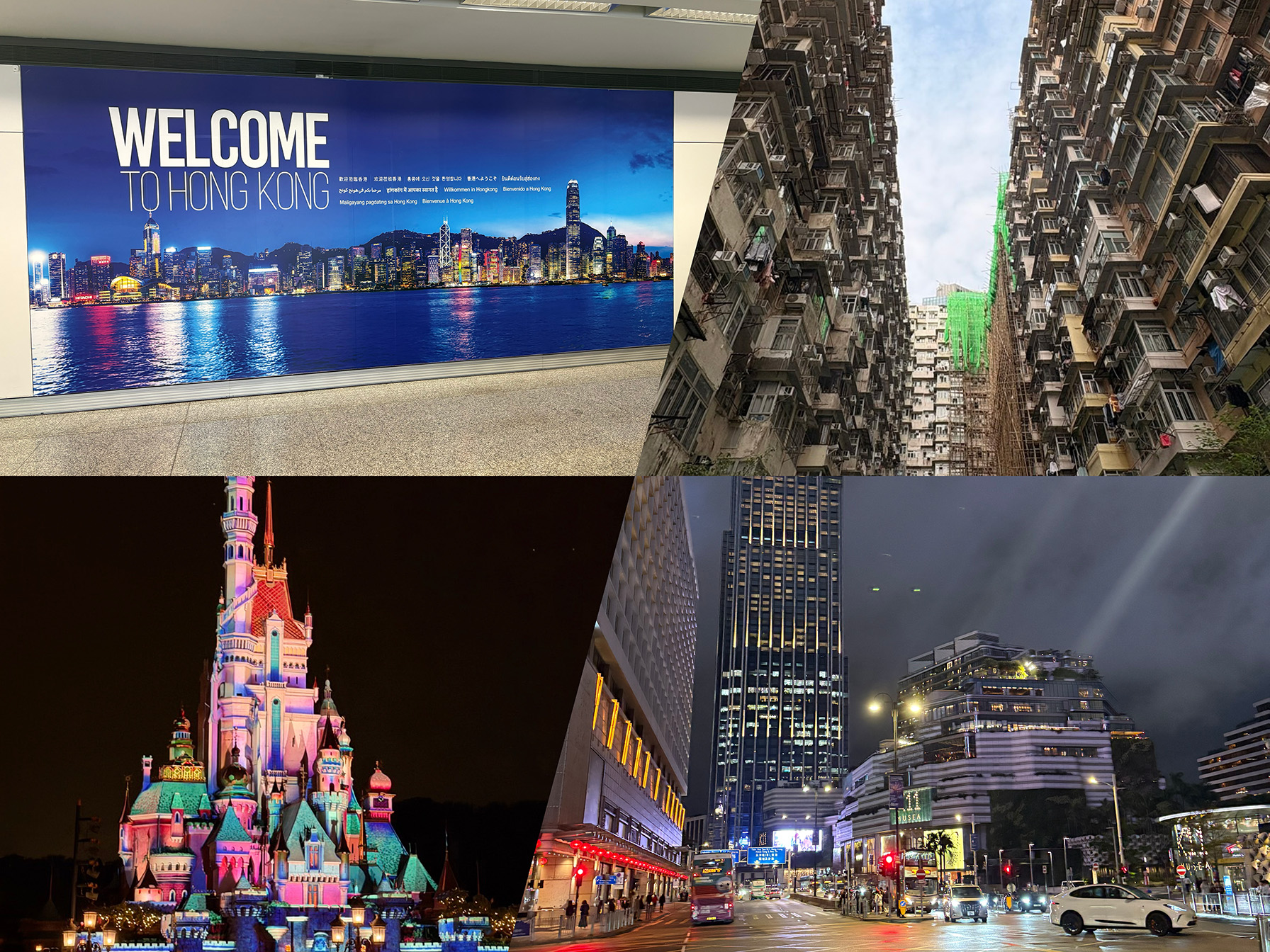 静岡産業大学「海外研修B（香港）」