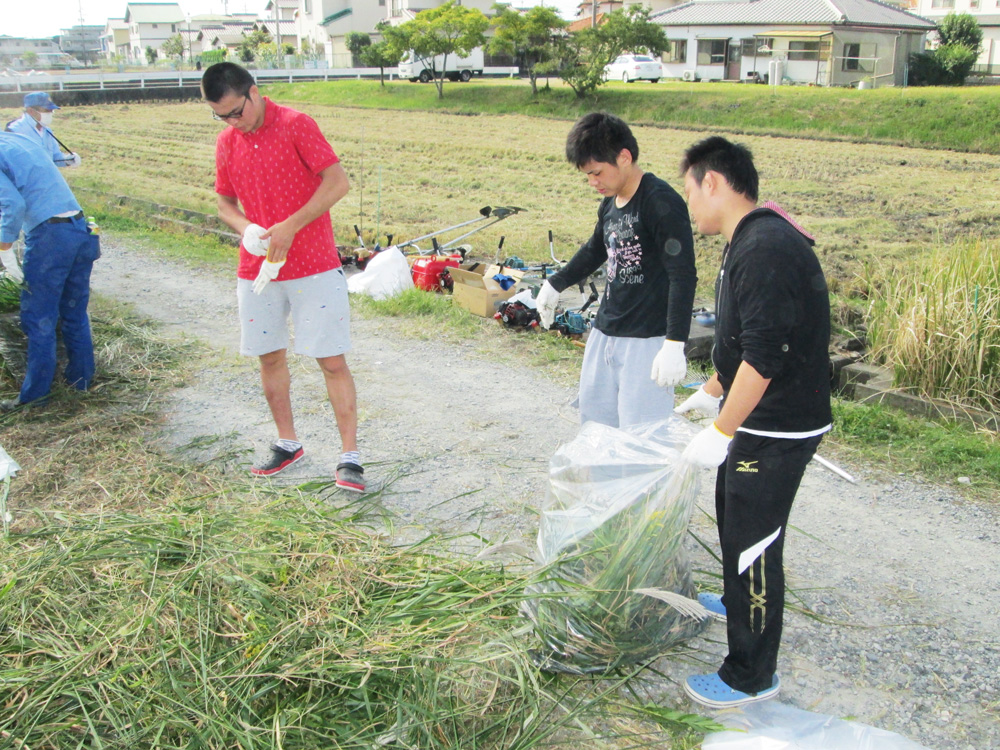 大池クリーン作戦